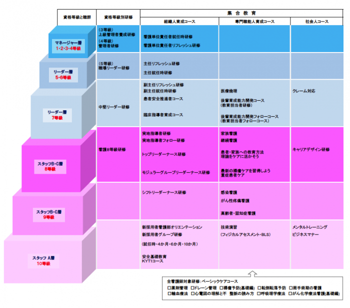 職能階層と教育計画